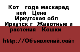 Кот 2 года маскарад ней › Цена ­ 10 - Иркутская обл., Иркутск г. Животные и растения » Кошки   